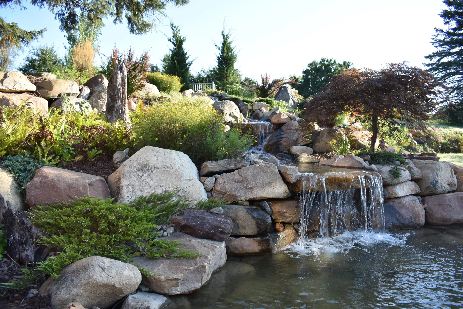 pond installation near me